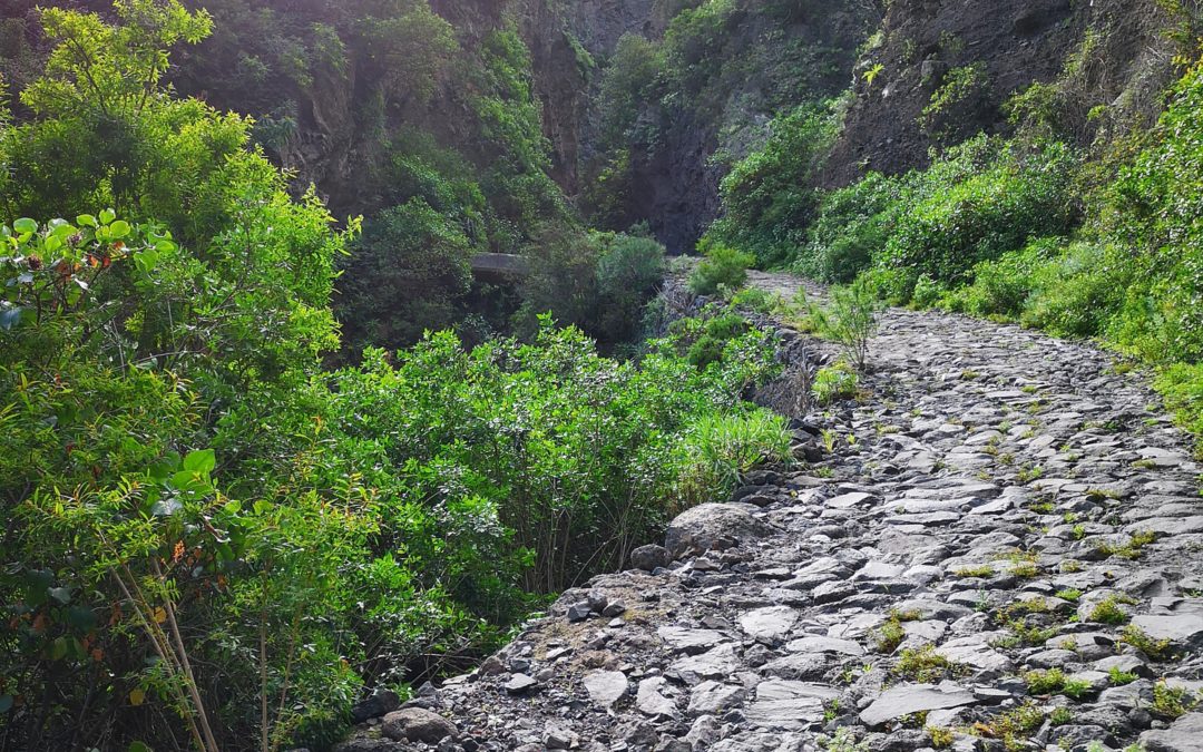 Foco triplo: caminho para desenvolver a liderança.